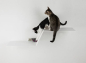 Preview: WAVE Katzen Kletterhilfe weiss